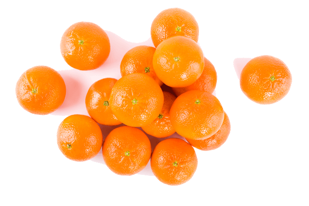 crunchy image